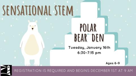 STEM Polar Bear Den 