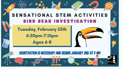 Sensational Stem: Bird Beak Investigation