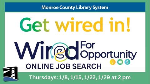 Wired for Opportunity -- Online Job Search