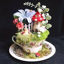 Tea cup fairy garden