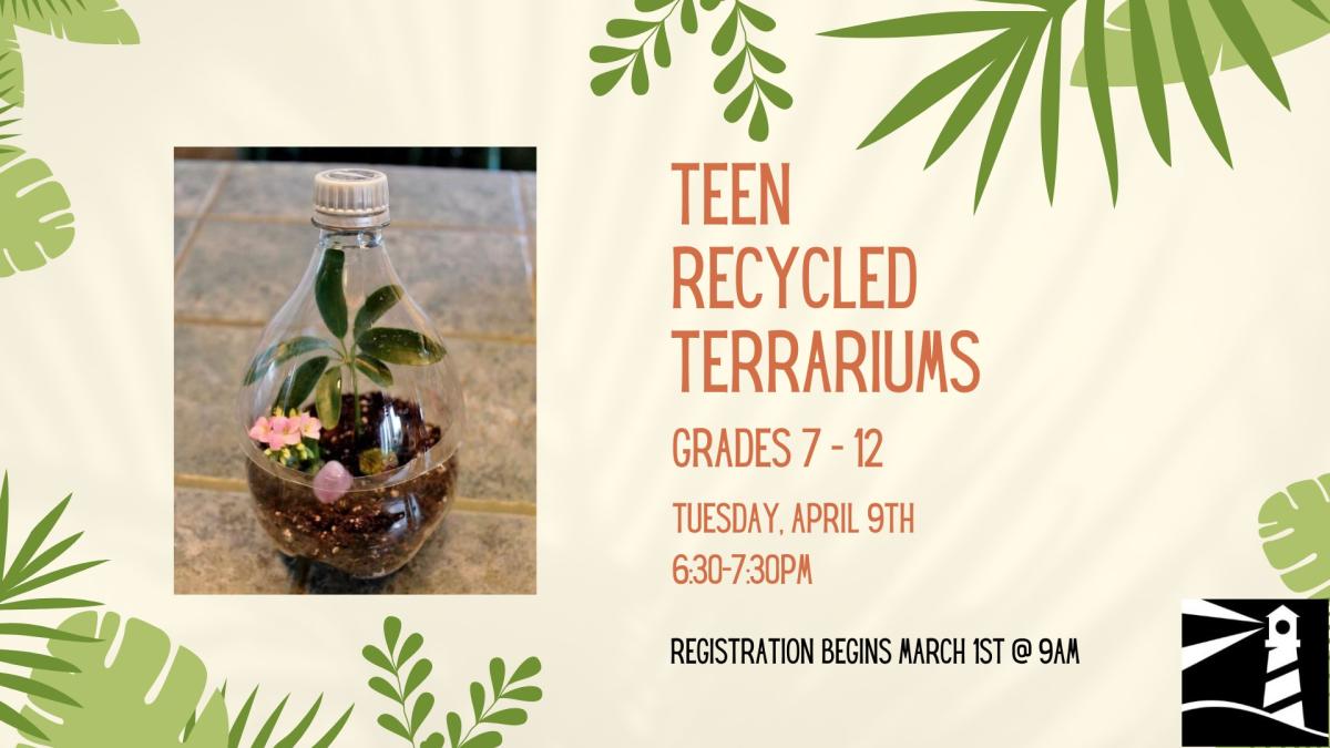 Teen Terrarium