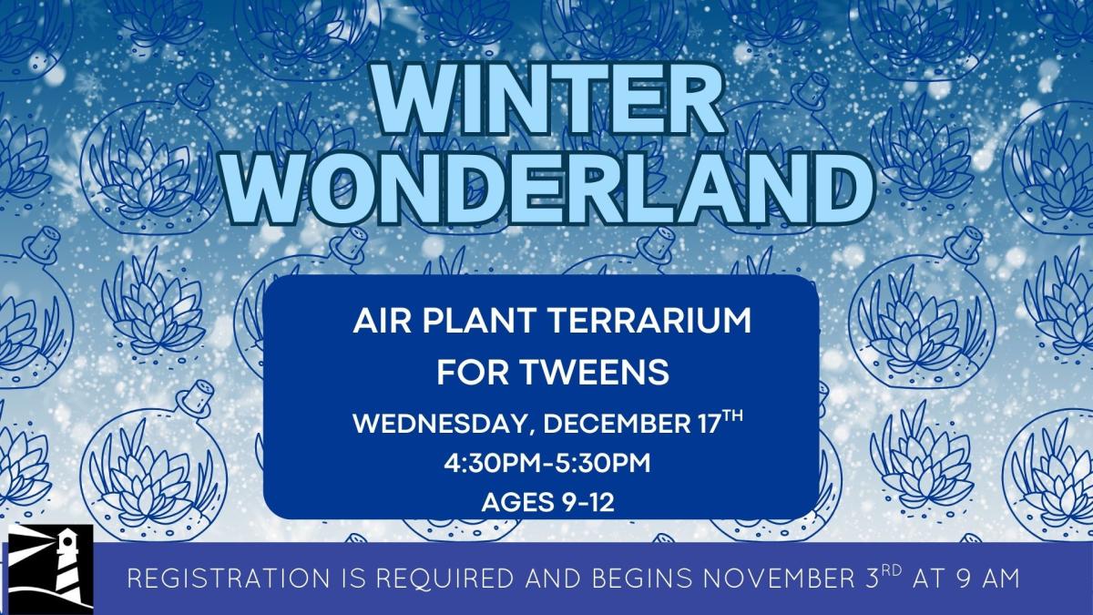 Winter Wonderland Air Plant Terrarium for Tweens